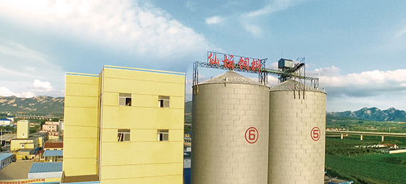 历史5.jpg